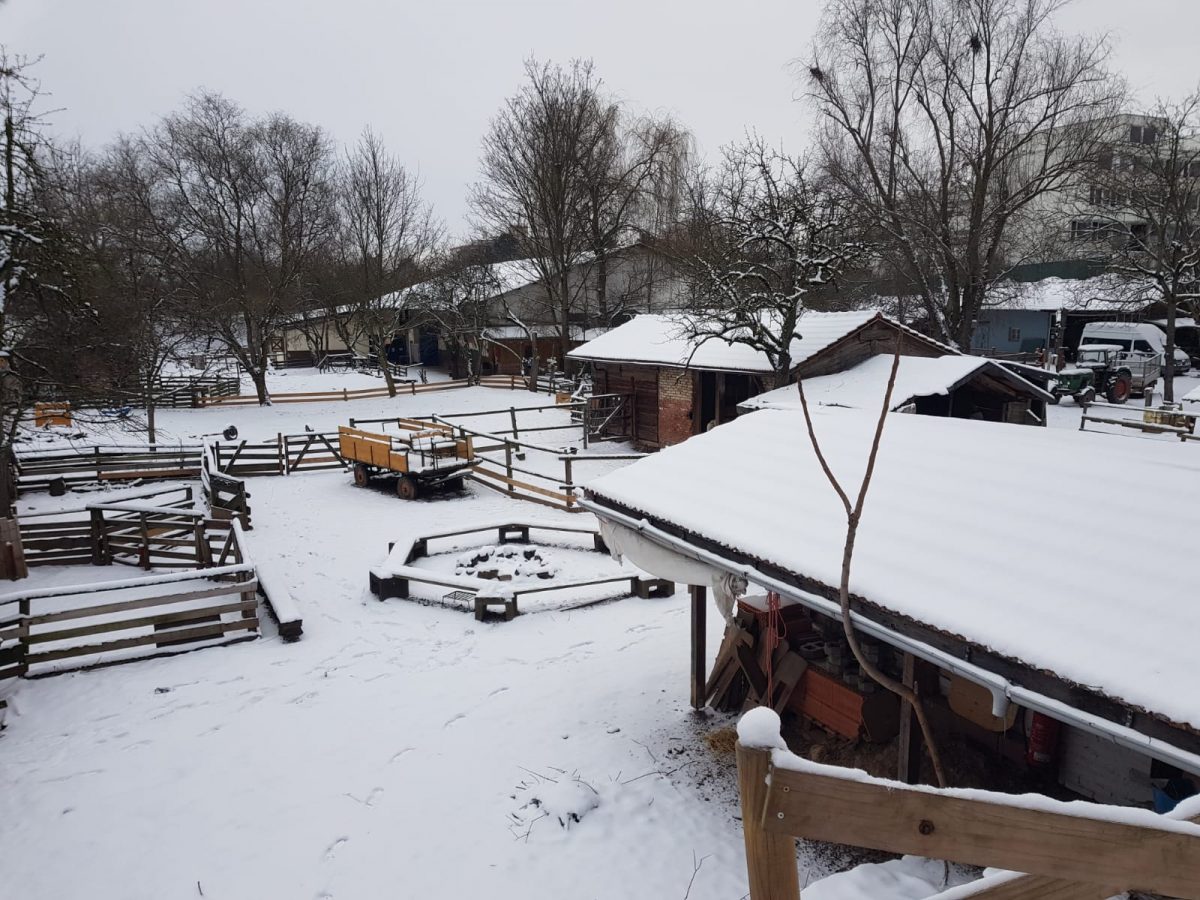 Der Jugendhof Jugendhof Heidelberg